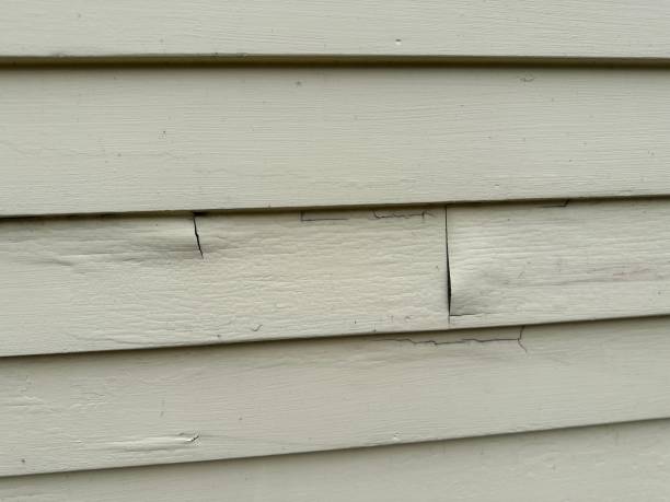 Best Siding for Multi-Family Homes  in USA